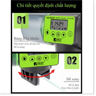 MÁY CHO CÁ ĂN TỰ ĐỘNG -Cao cấp