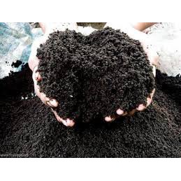 Phân trùn quế trồng cây ( dùng để trộn vưới đất trồng cây và hoa) gói 1kg