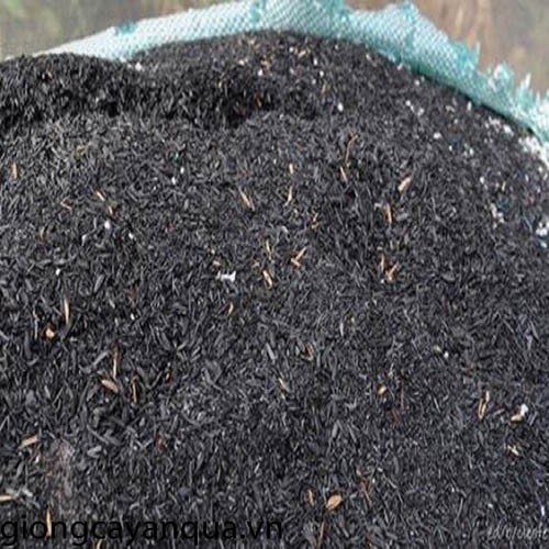 Vỏ Trấu hun - dinh dưỡng, chống nấm mốc, giúp thoát nước tốt