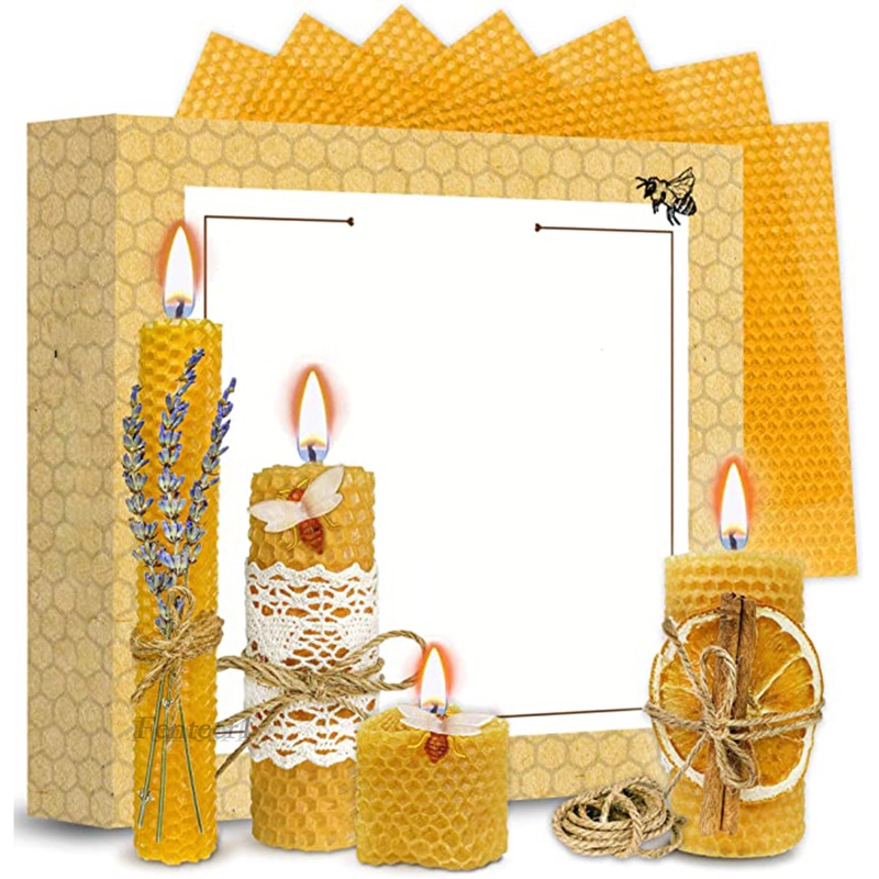 (Hàng Mới Về) Bộ 10 Tấm Nuôi Ong Chuyên Dụng Cho Nuôi Ong