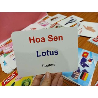 [GIẤY LOẠI DÀY] Thẻ học flashcard 15 chủ đề