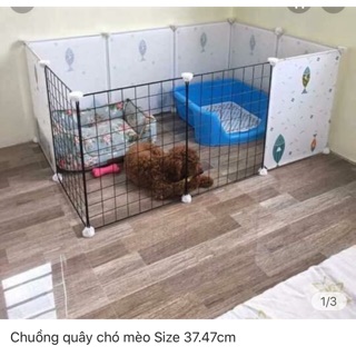 Quây chuồng chó,mèo đa dạng tiện lợi cho thú cưng nhà bạn Màu sắc đơn giản cho những chú chó,mèo cực kì đáng yêu nhà bạn