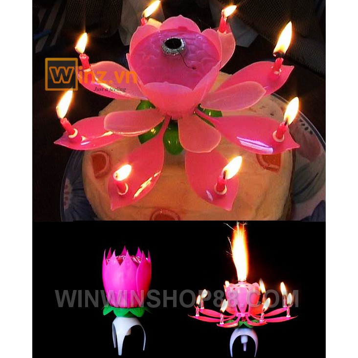 Nến sinh nhật nở hoa và phát nhạc - Muasamhot1208
