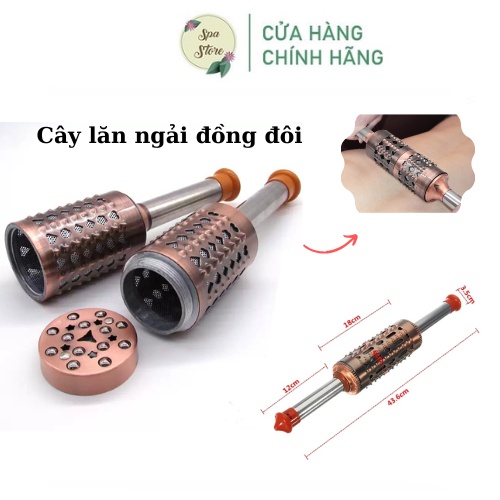 Cây Lăn Ngải - Đả Thông Kinh Mạch