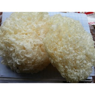 NẤM TUYẾT (NGÂN NHĨ)