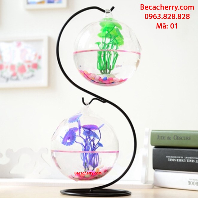 Bể cá mini chữ S 01 ( Tặng kèm combo phụ kiện trang trí )