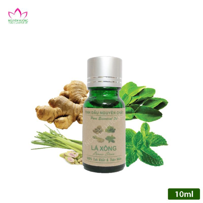 [COMBO 1 MÁY + 1 CHAI 10ML]MÁY PHUN TINH DẦU TRỰC TIẾP : DÙNG CHO Ô TÔ.