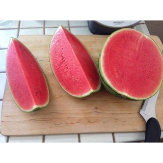 Hạt giống DƯA HẤU SIÊU NGỌT KHÔNG HẠT F1 - Gói lớn nhiều hạt - Tặng gói kích nảy mầm