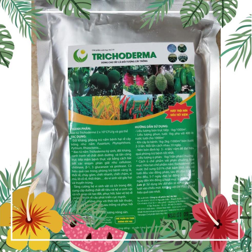 NẤM ĐỐI KHÁNG TRICHODERMA BACILLUS - Ủ PHÂN CHUỒNG, TƯỚI CÂY, TRỘN GIÁ THỂ PHÒNG TRỪ NẤM BỆNH, CẢI TẠO ĐẤT - GÓI 500G