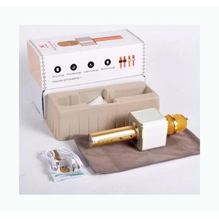 mic karaoke ys-11 kèm loa