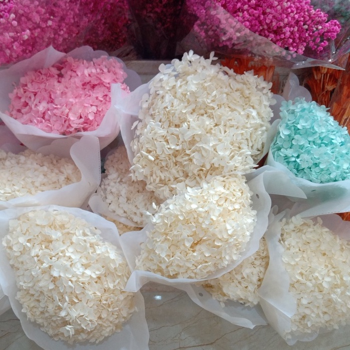 Hoa khô Cẩm Tú Cầu nhiều màu sắc, bông to nhiều hoa trang trí decor, phụ kiện chụp ảnh