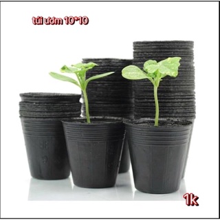 Combo 10 túi ươm cây giống 10*10