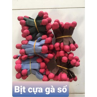 Bịt cựa gà tre và nòi