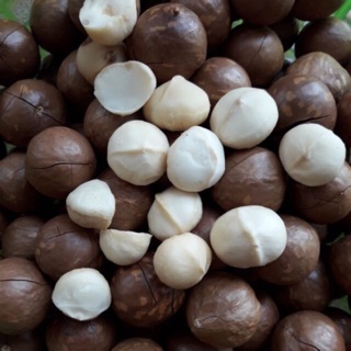 Mắcca ĐakLak Nguyên Phương