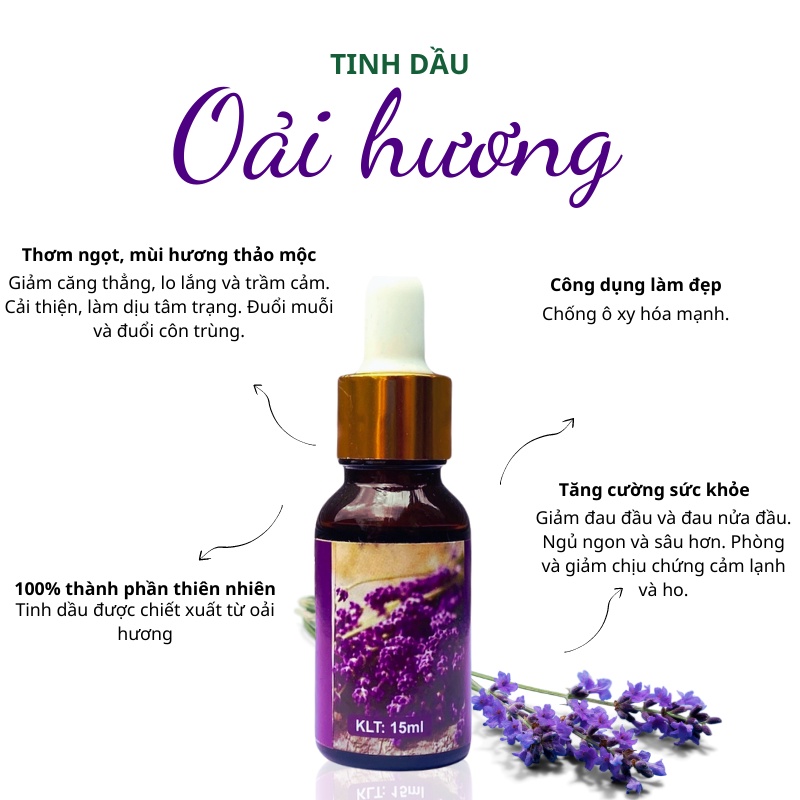 Tinh dầu Oải Hương Lavender essential oil giúp khử mùi, thơm phòng - 10ml