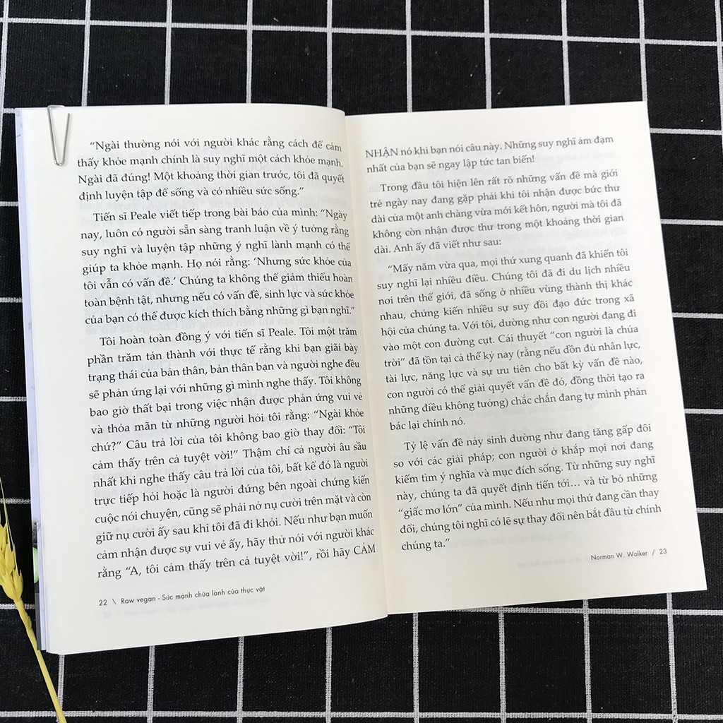 Sách - Raw Vegan – Sức Mạnh Chữa Lành Của Thực Vật (Kèm bookmark) | BigBuy360 - bigbuy360.vn