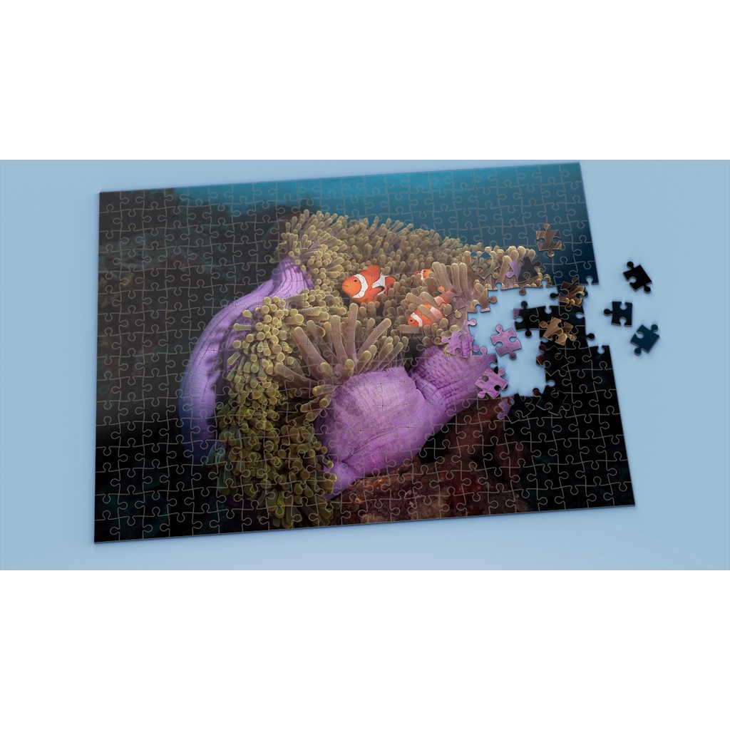 Tranh ghép hình NEMO - Mẫu 1 - Nhận in theo yêu cầu