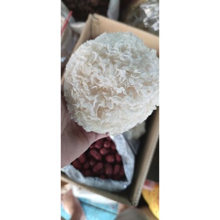 Túi 500gram nấm tuyết trắng nguyên bông