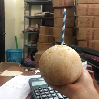 Dừa xiêm sọ Bến Tre
