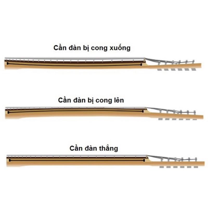 Lục giác chỉnh cong cần cho đàn guitar