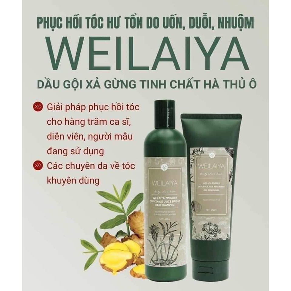 Dầu xả Weilaiya mọc tóc trị rụng tóc và dưỡng tóc tinh chất gừng và hà thủ ô 250ml