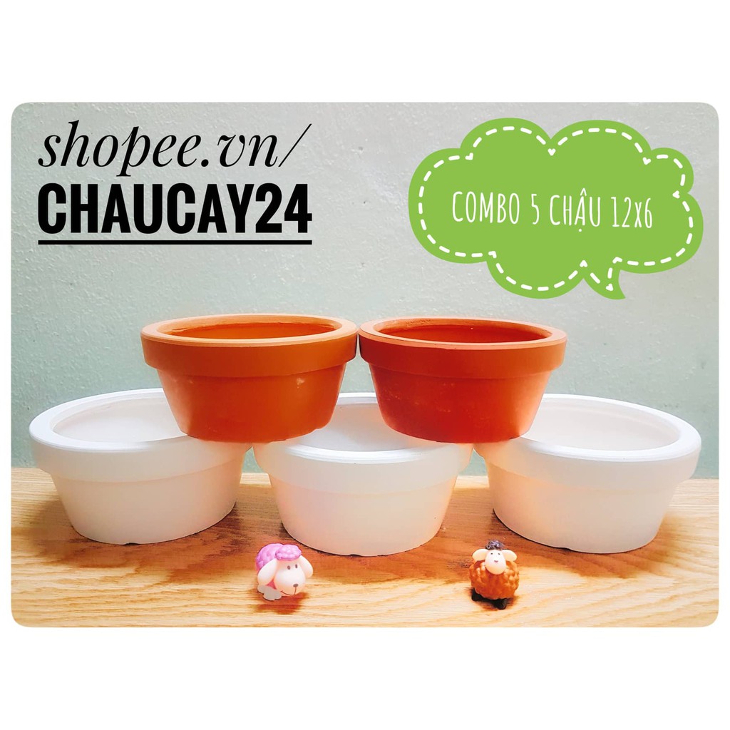 COMBO 5 chậu đất nung 12x6 cm trồng cây cảnh nội thất, sen đá, xương rồng