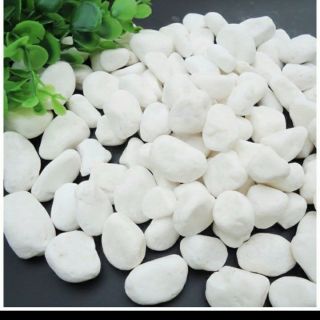 2 kg sỏi trắng trang trí giá tại xưởng