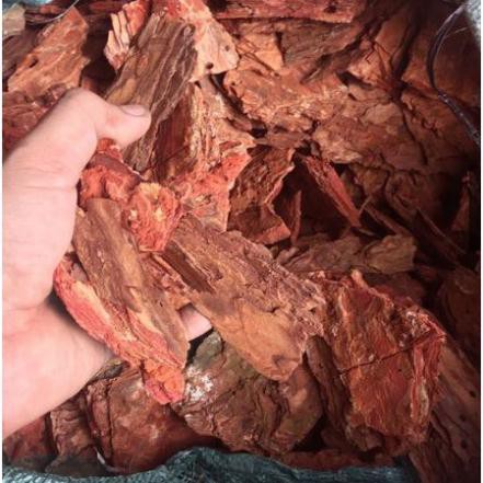 Vỏ thông trồng lan 1kg - đã xử lý, mài cạnh, đều đẹp