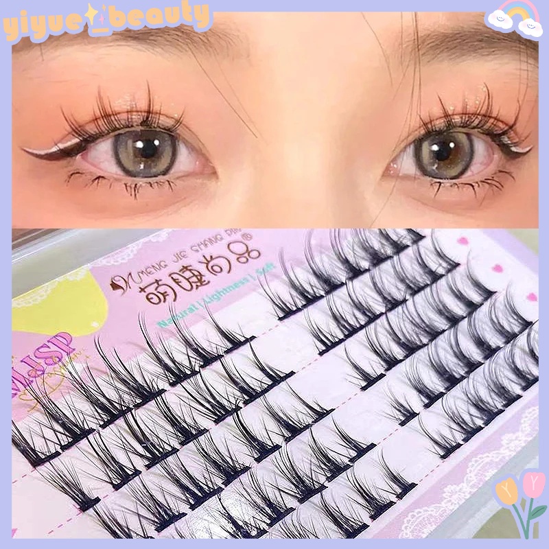 Lông Mi Giả Nối Dài Trang Điểm Mắt Hai Mí DIY
