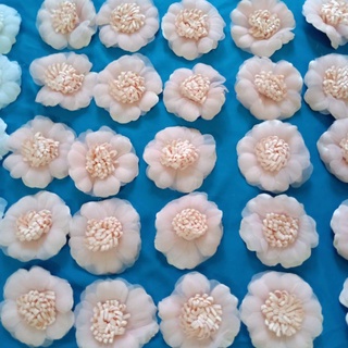 Hoa Cài Áo Nhỏ Xinh