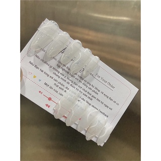 Nailbox vẽ basicc