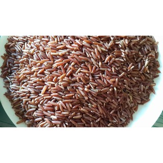 GẠO LỨT ĐỎ