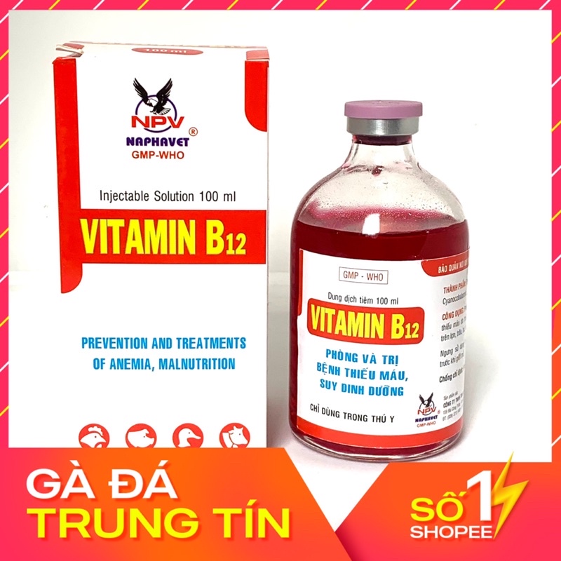 VITAMIN B12 Chai 100ml