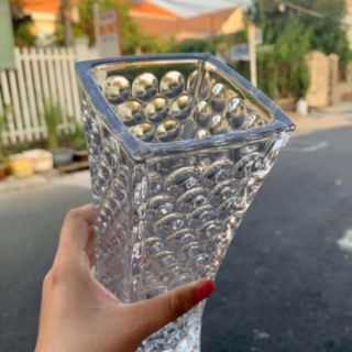 Lọ hoa thủy tinh kích thước 25cm ×8cm