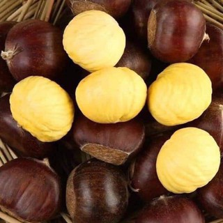 [3KG dẻ to ngon, bở cơm vàng] Hạt dẻ tươi SaPa LOẠI TO NGON.shop bách hóa hạt dinh dưỡng