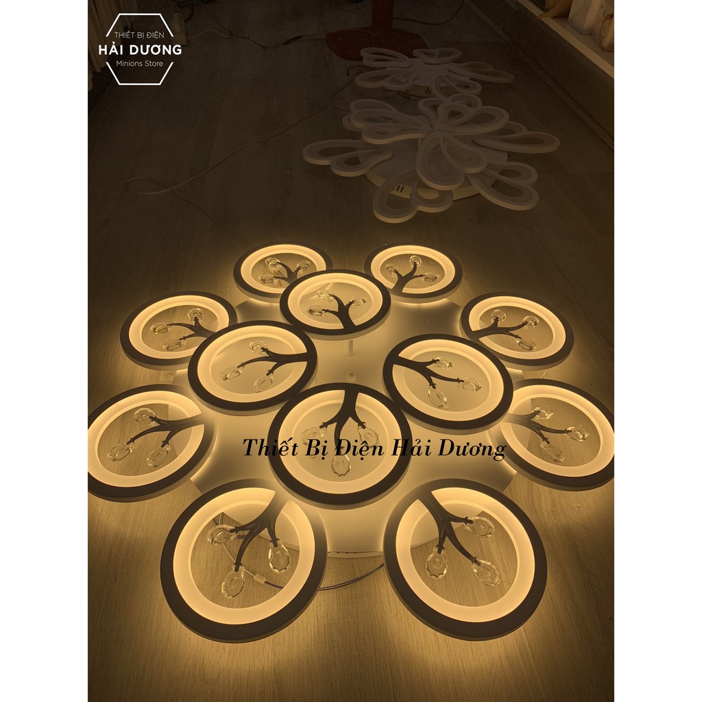 Đèn Ốp Trần Hiện Đại Decor 12 Hoa Pha Lê NT031 - 3 Chế Độ Ánh Sáng - Tăng Giảm Ánh Sáng - Hẹn Giờ Ngủ - Điều Khiển Từ Xa