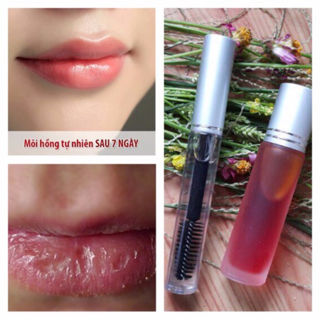 Combo dầu dừa và dầu gấc