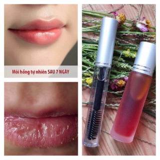 Combo dầu dừa và dầu gấc