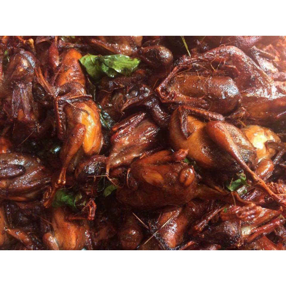 Chim cút quay lá móc mật khay 10 con