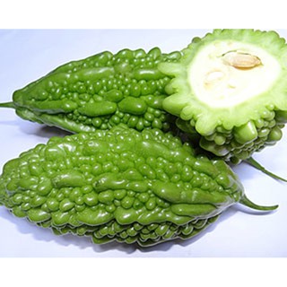 Hạt giống Mướp đắng rừng