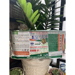 SIAMB Bacillus thuringiensis (Vi khuẩn trừ sâu BT)