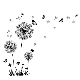 Dán TườNg Trang Trí HìNh Hoa Bồ Công Anh