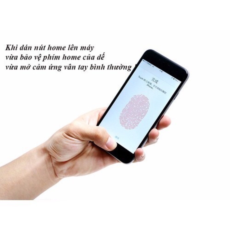 Dán Nút Home Cảm Ứng Vân Tay Dành Cho Dòng iPhone 5/5s/6/6s/6Plus/6sPlus/7/8/7Plus/8Plus