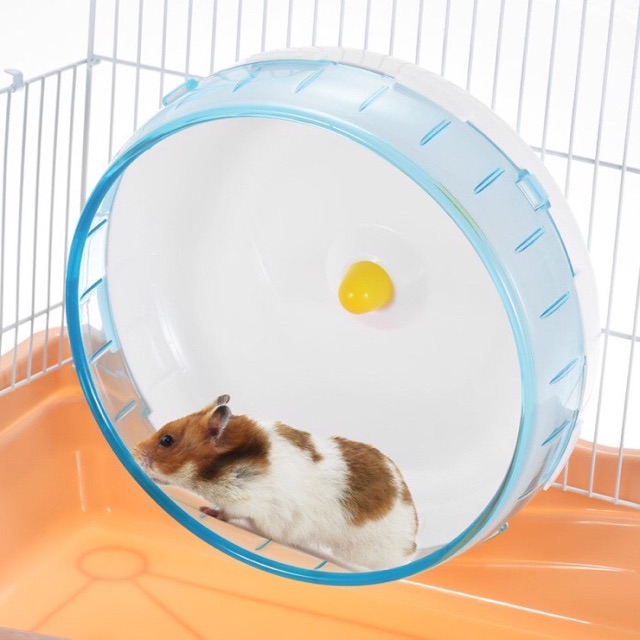 Wheel 21cm, đồ tập thể dục cho hamster, nhím