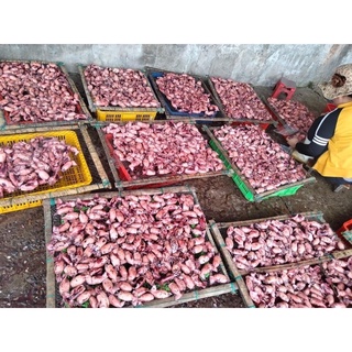 Mực hấp thuyền nghệ an 1kg (giao tphcm)