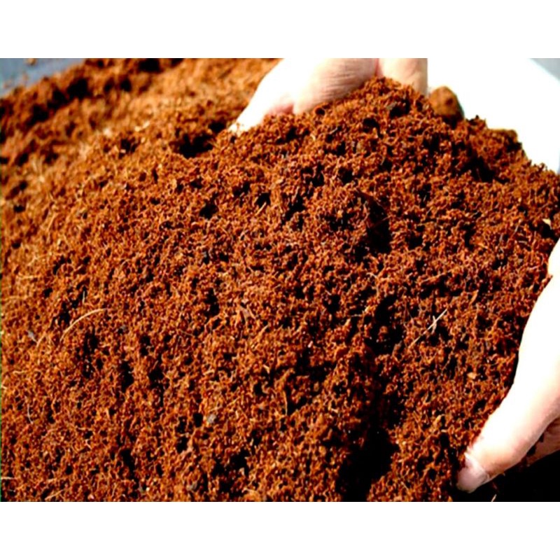Sơ Dừa SFARM  Bao 20dm  Đã Qua Xử Lý Sạch Sẽ Trồng Rau Và Hoa