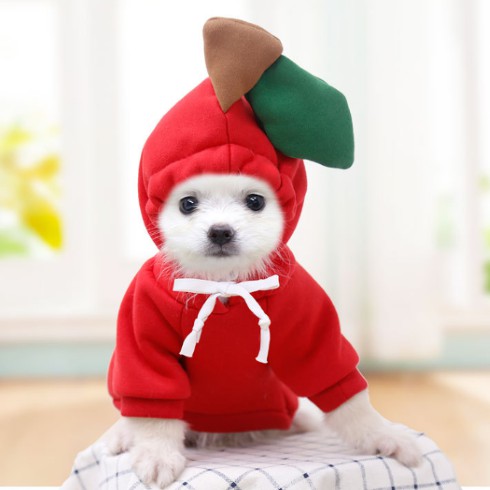 🌸 Quần Áo Chó Mèo Có Nón Cosplay Biến Hình Cho Thú Cưng