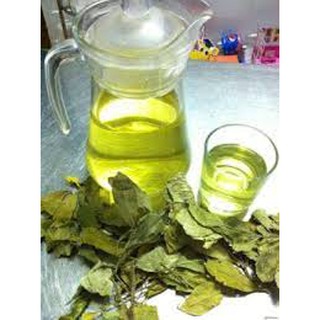 Trà lá Dung Vân Canh – Bình Định