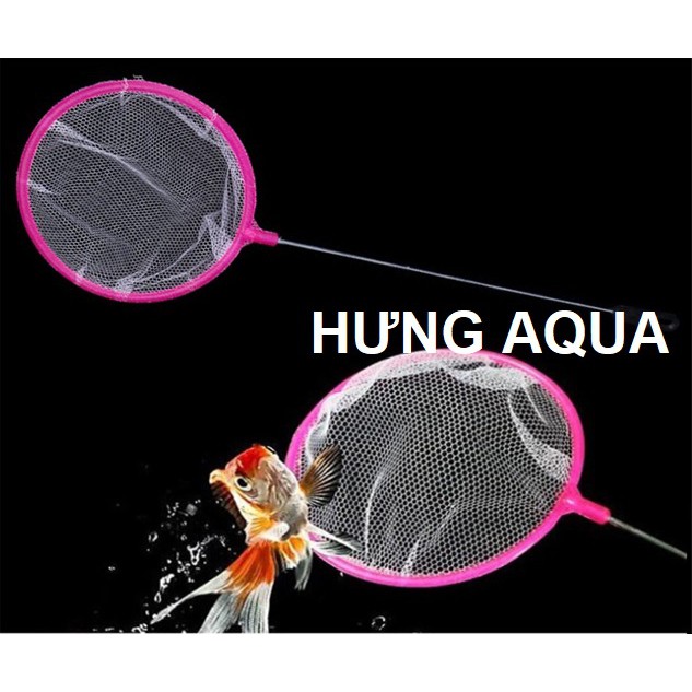 VỢT CÁ -Vợt cá mắt lưới lỗ và vợt cá NANO SIÊU MỊN VỚT CÁ MINI ĐƯỜNG KÍNH 8.5CM (size nhỏ và nhỡ)