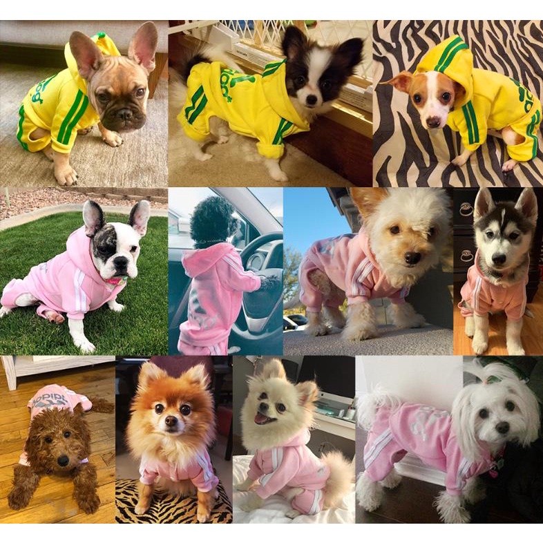 Áo Hoodie KiểU DáNg Thể Thao ThờI Trang Cho Thú Cưng #A0677 A0677